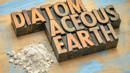 Diatomaceous Earth for Immunity