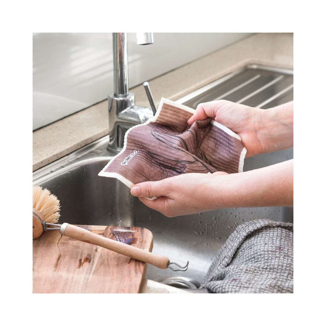 Eco Sponge Cloths - Set of 2 (Palm Springs)