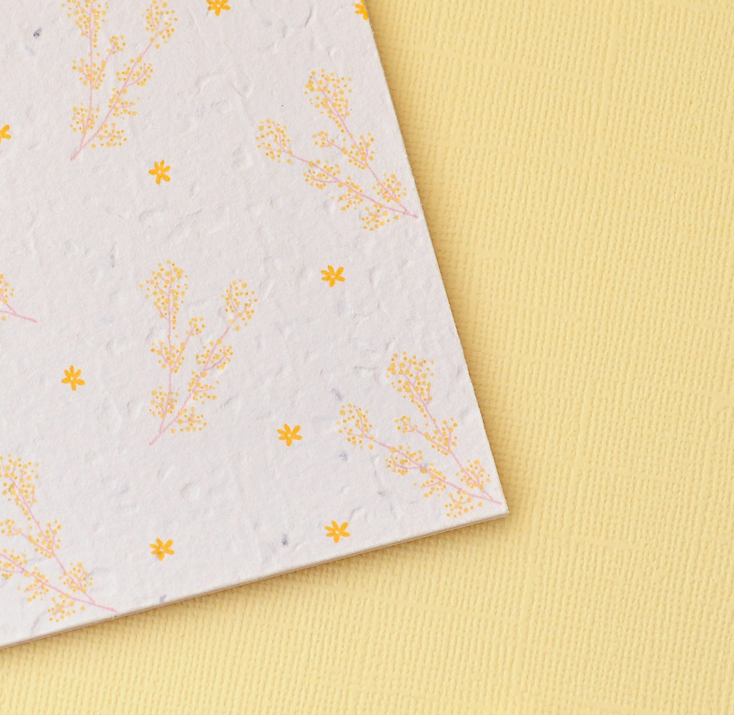 Daisee Plantable Greeting Card