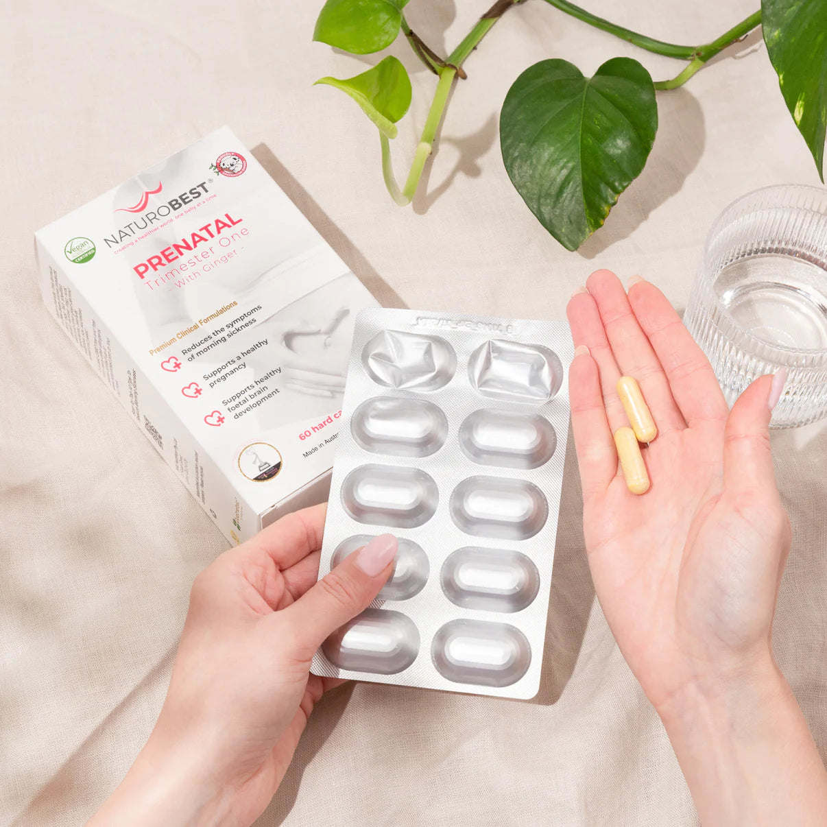 Prenatal Trimester One with Ginger - Morning Sickness Relief