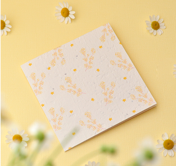Daisee Plantable Greeting Card