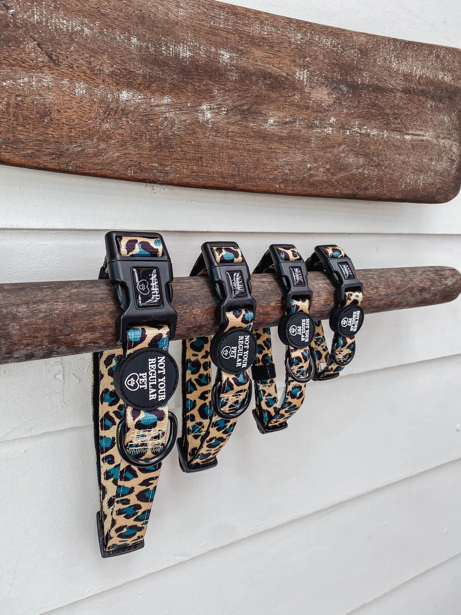 Can’t Be Tamed Collar