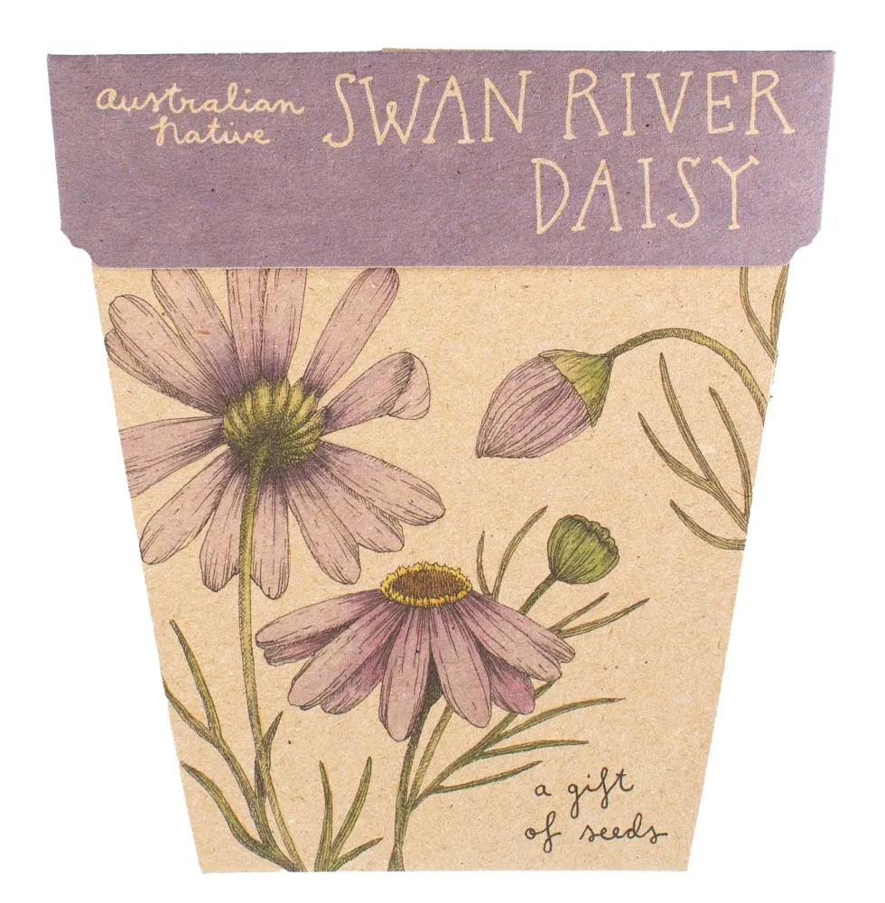 Gift of Seeds - Swan River Daisy
