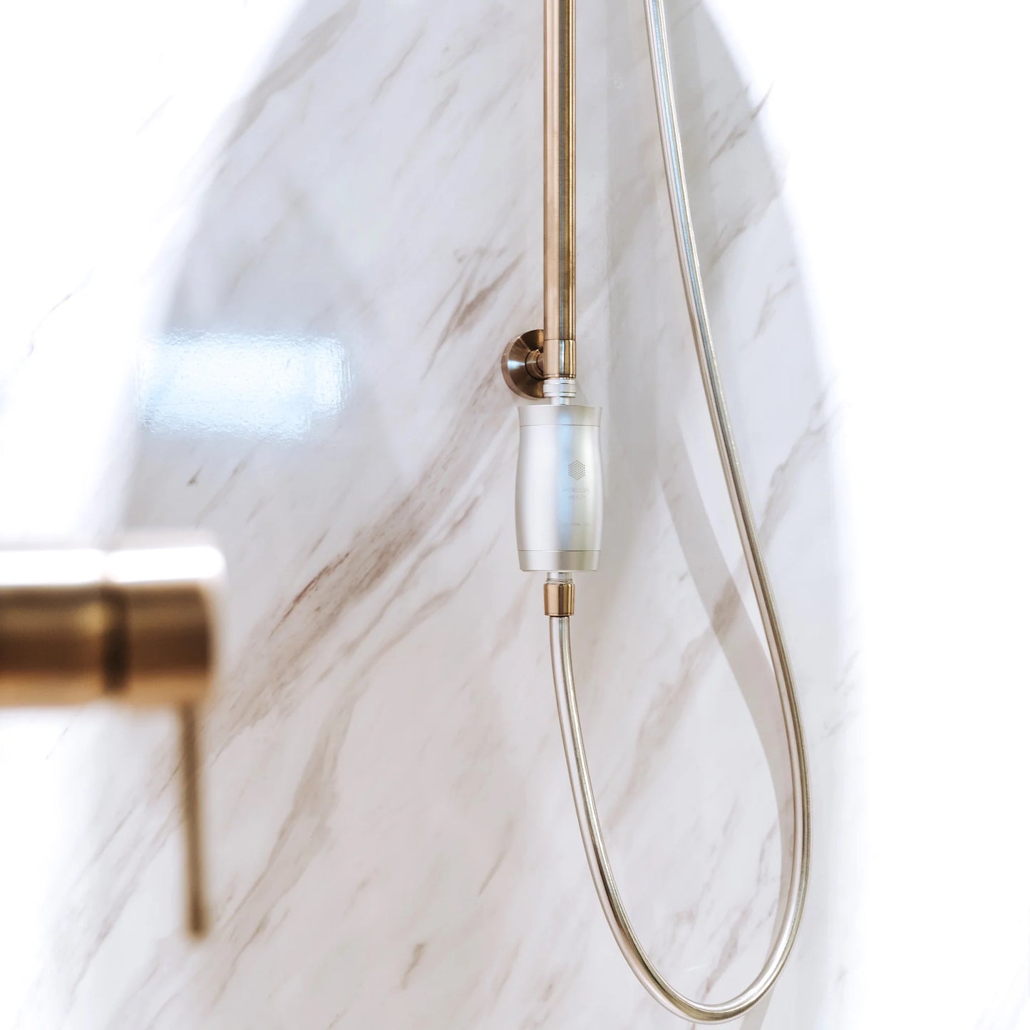 Shower Water Filter