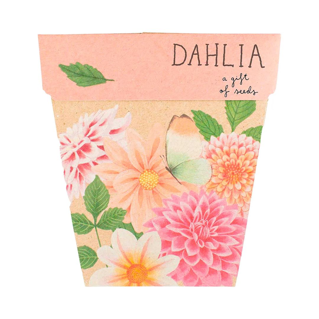 Gift of Seeds - Dahlia