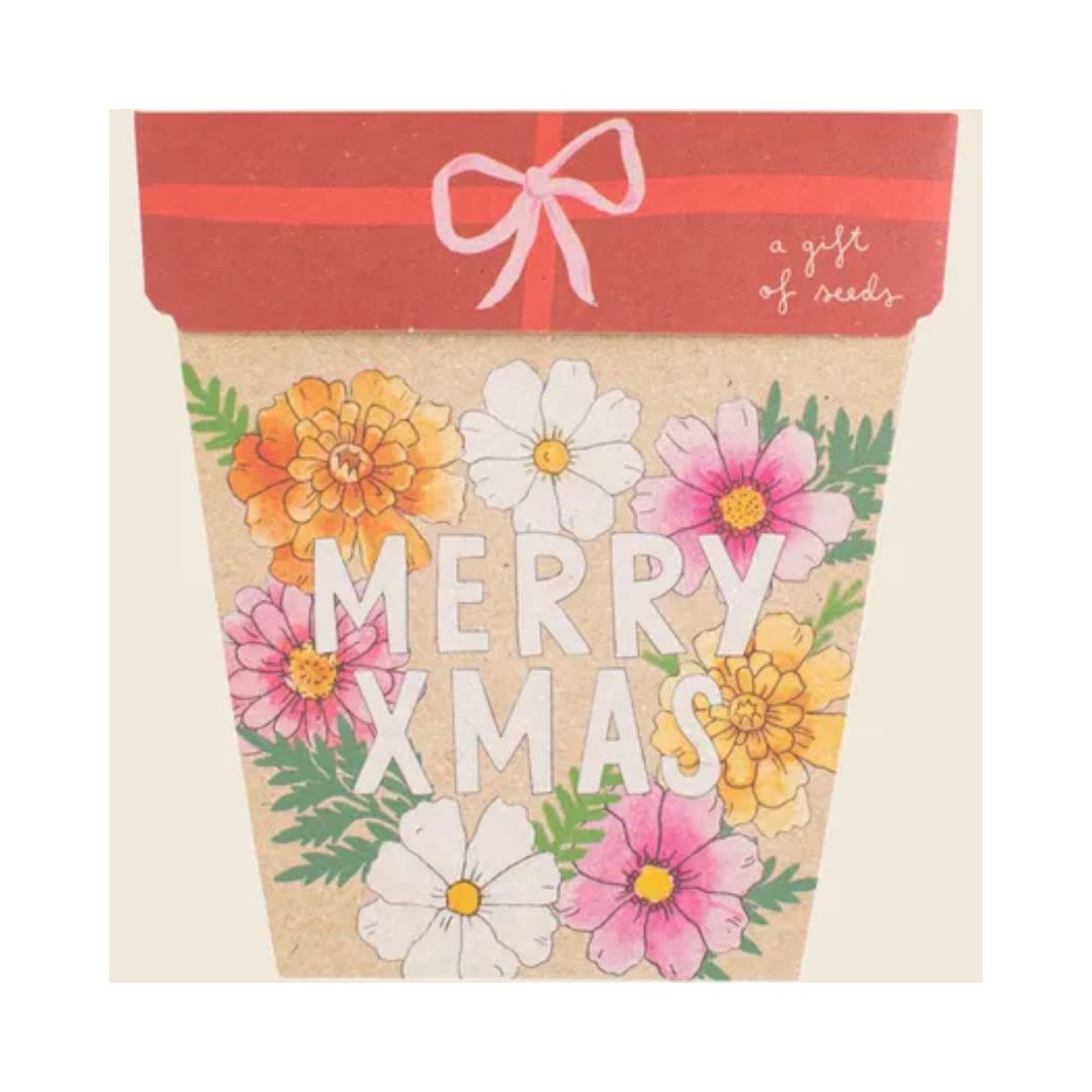 Gift of Seeds - Xmas Blooms