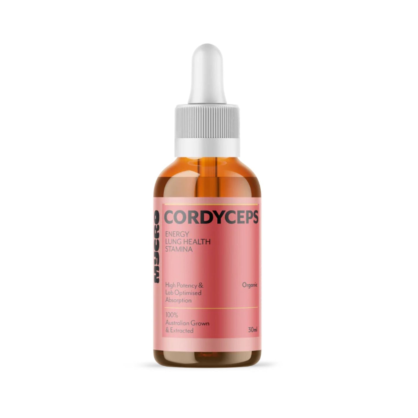 Cordyceps Mushroom