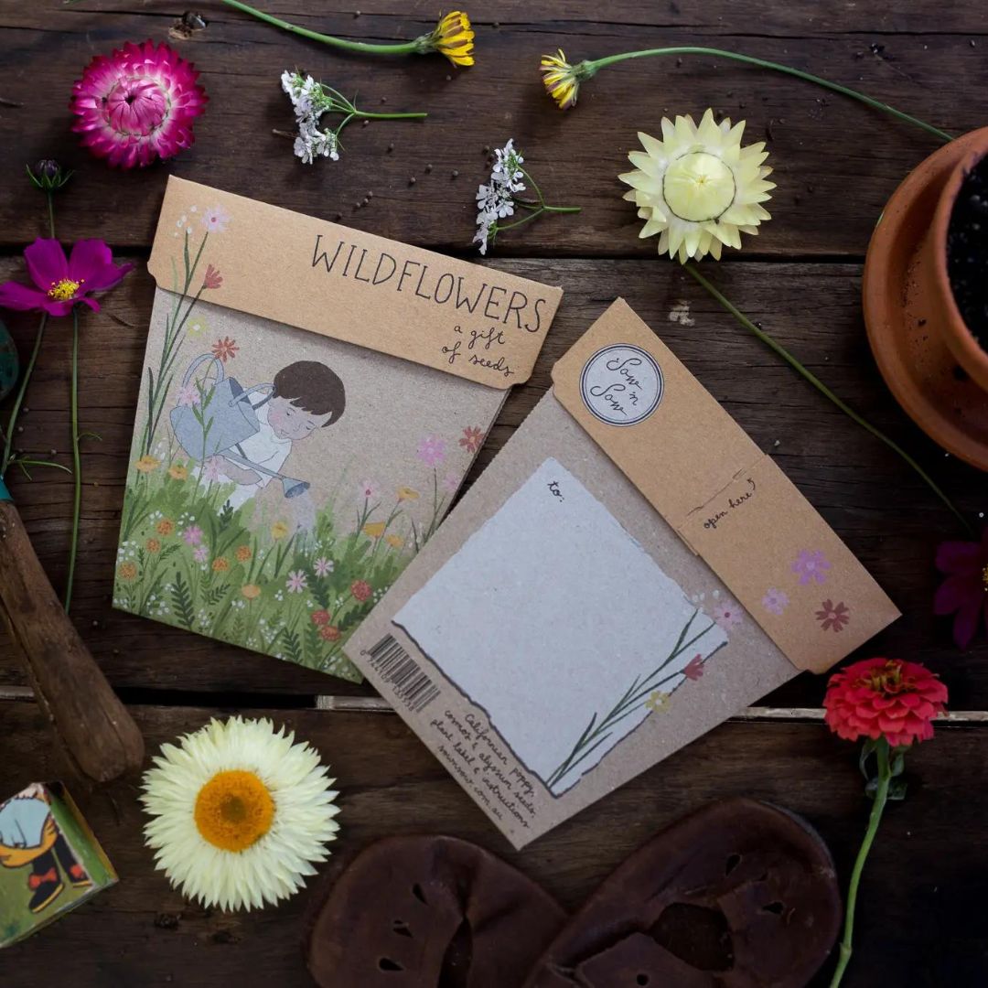 Sow'n Sow - Gift of Seeds - Wild Flowers