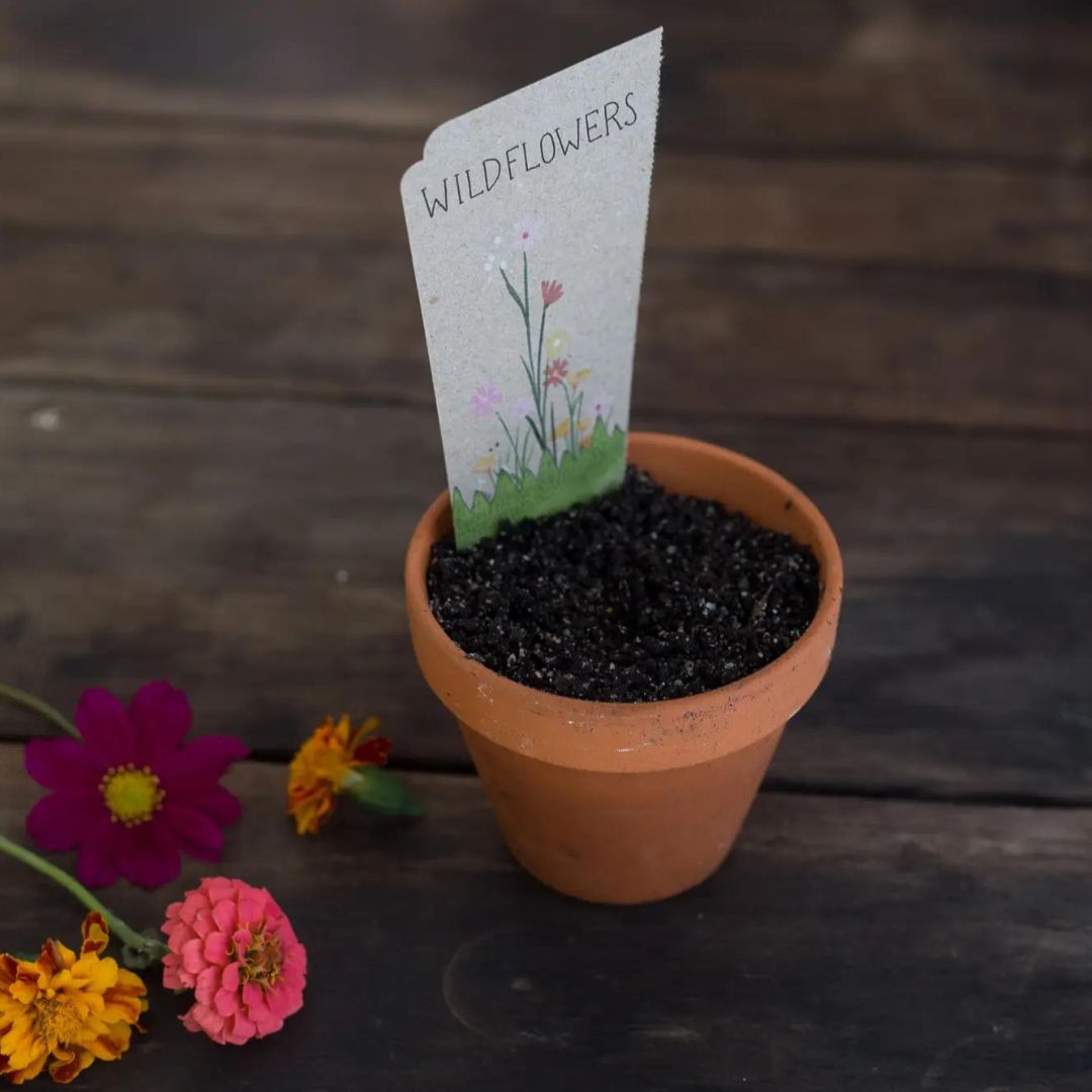 Sow'n Sow - Gift of Seeds - Wild Flowers