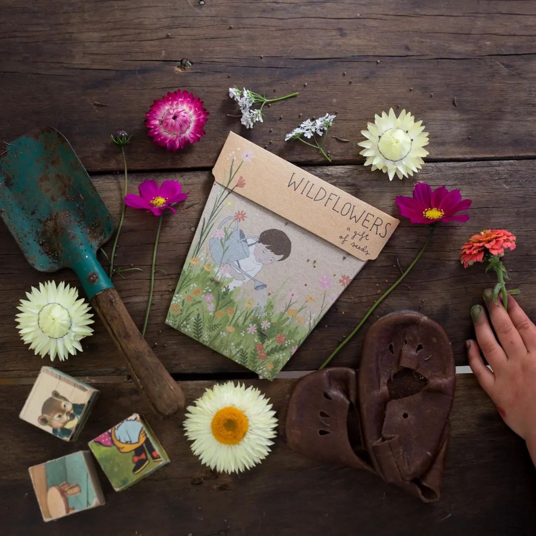 Sow'n Sow - Gift of Seeds - Wild Flowers