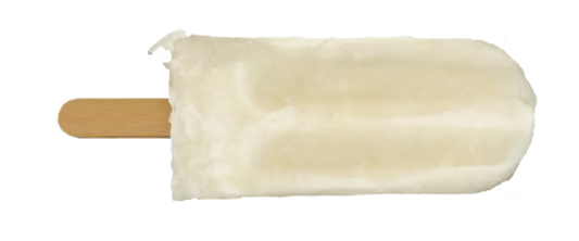 Organic Coconut & Milk Ice Block