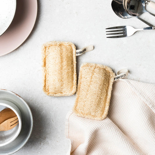 Loofah Dish Dish Sponges (Set of 2)