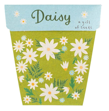 Gift of Seeds - Daisy