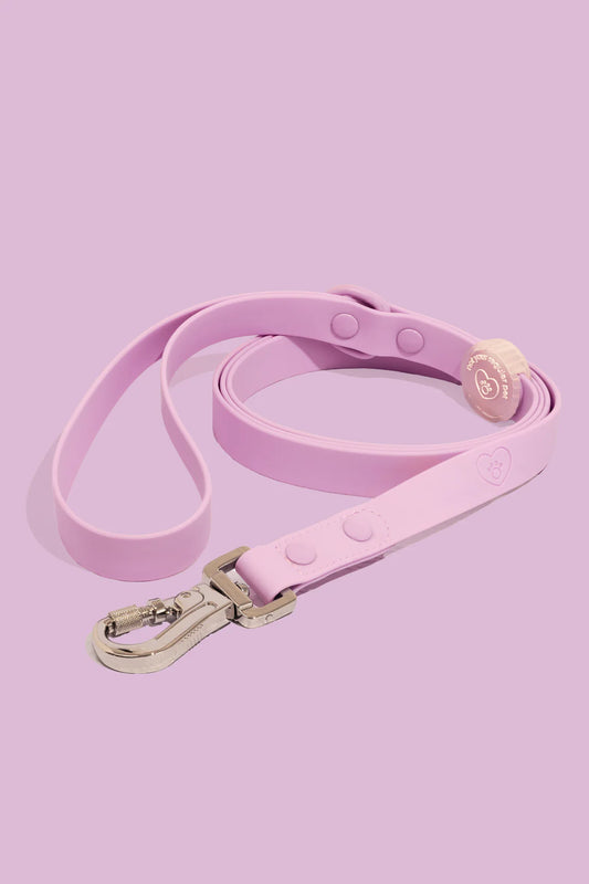 Violet Waterproof Leash