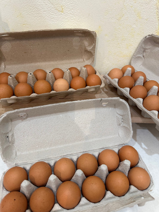 Eggs