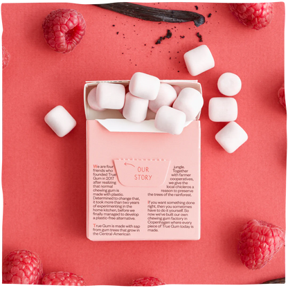 Raspberry & Vanilla Gum