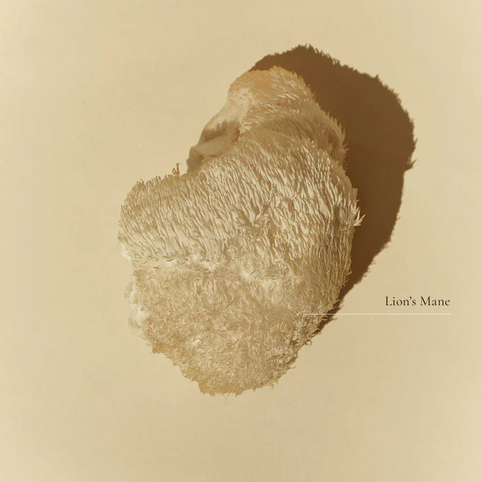 Lion's Mane