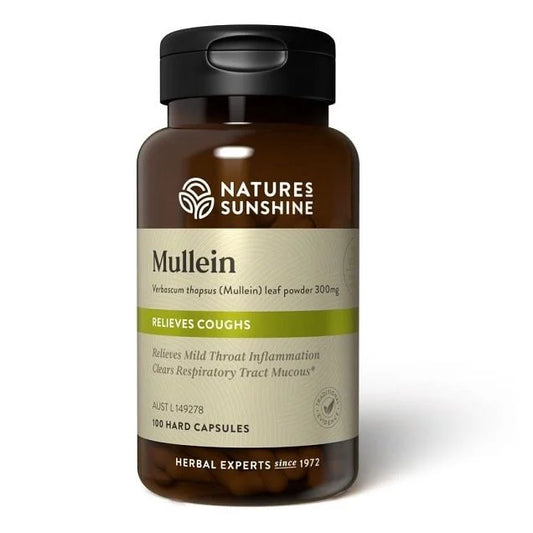 Mullein