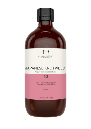 Japanese Knotweed