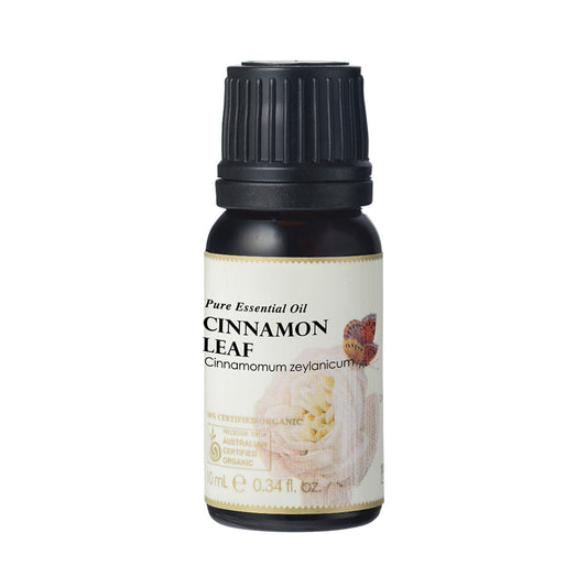 100% Organic Essential Oil - Cinnamon Leaf