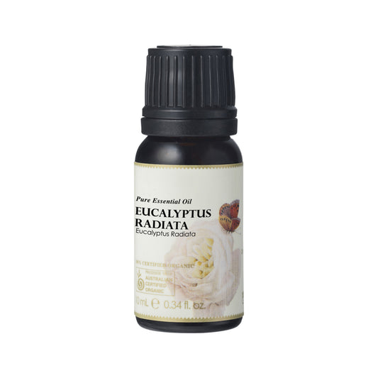 100% Organic Essential Oil - Eucalyptus Radiata