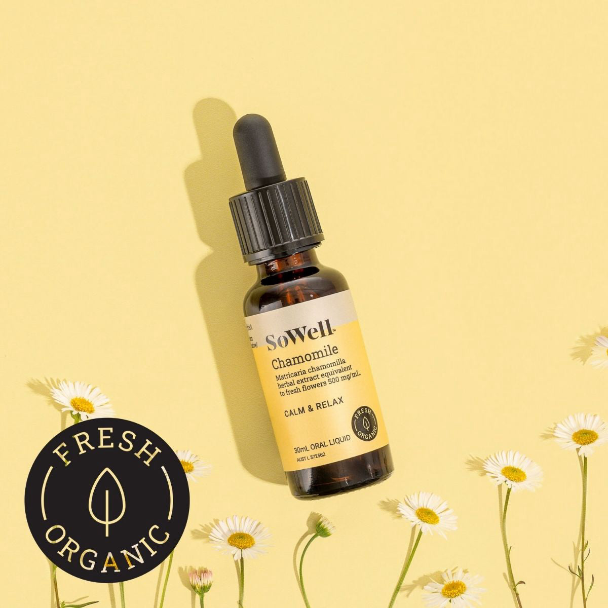 Organic Chamomile - Calm & Relax