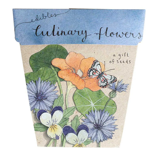 Geschenk der Samen – Kulinarische Blüten