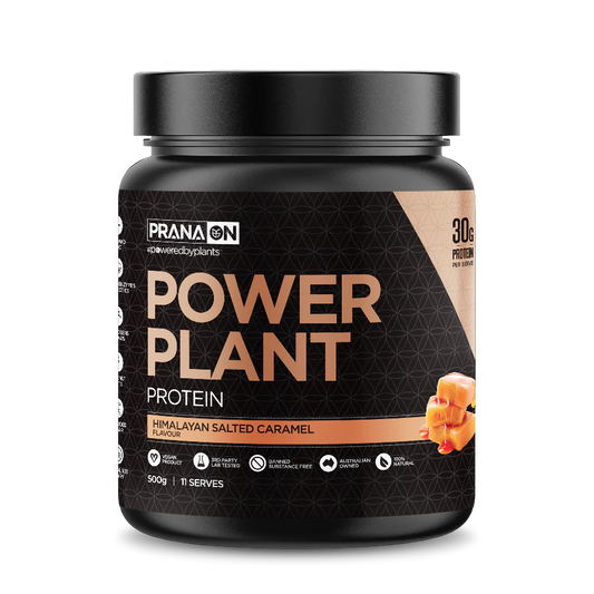 Power Plant Protein - Himalayan Salted Caramel