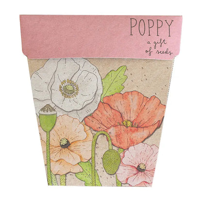 Geschenk der Samen – Mohn