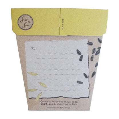 Geschenk der Samen – Sonnenblume