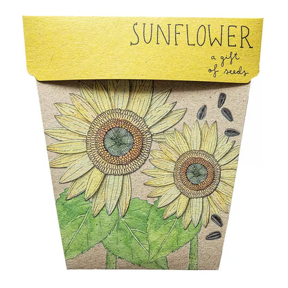 Geschenk der Samen – Sonnenblume