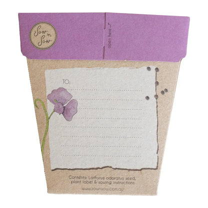 Geschenk der Samen - Duftwicke