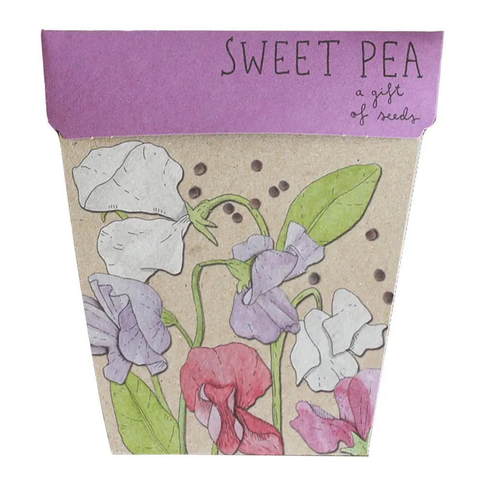 Gift of Seeds - Sweet Pea