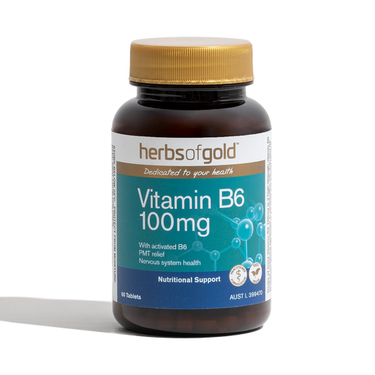 Vitamin B6 100mg