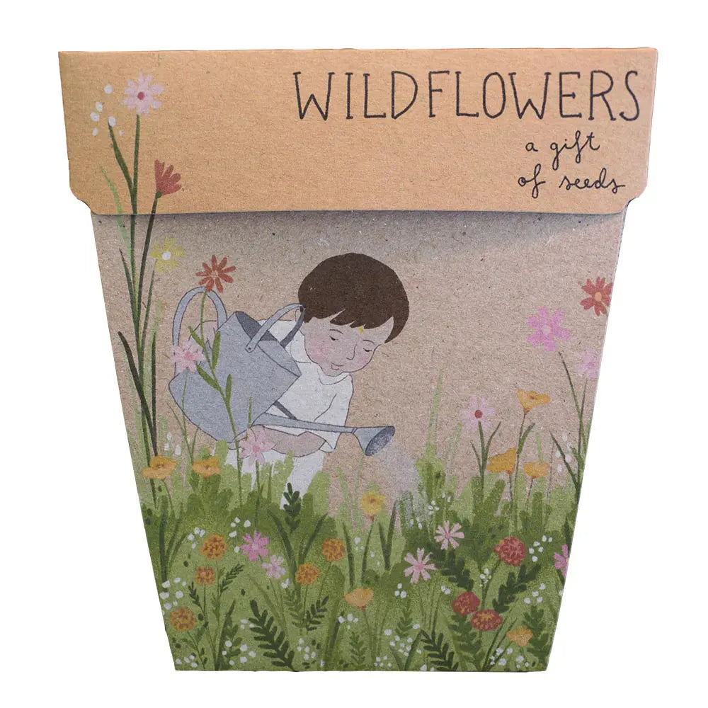 Sow'n Sow - Gift of Seeds - Wild Flowers